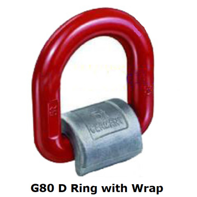 Las van Koolstofstaal de Gesmede D Ring Power Coated G80 in D-vormige ringen met Omslag