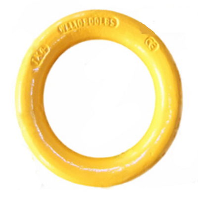 Legeringsstaal Gesmeed om Ring Weldable-D-vormige ringen 3/8“ - 2“